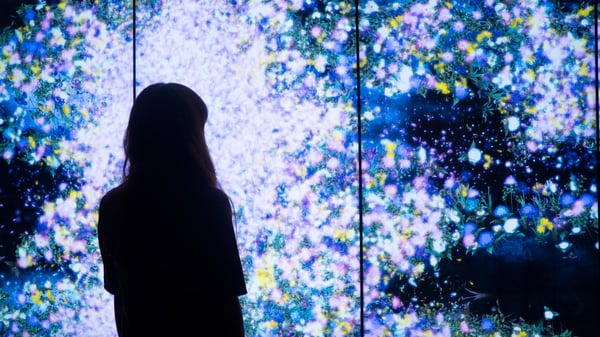 Flowers and People - Dark by TeamLab (2015)