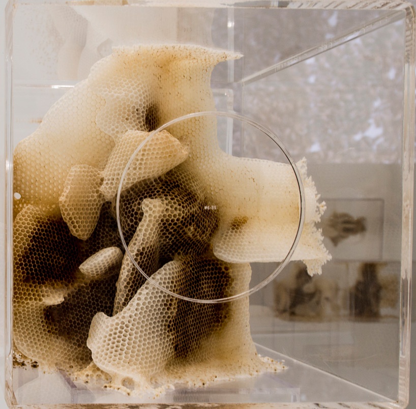 ren-ri-beeswax-sculptures-pearl-lam-galleries-designboom-12