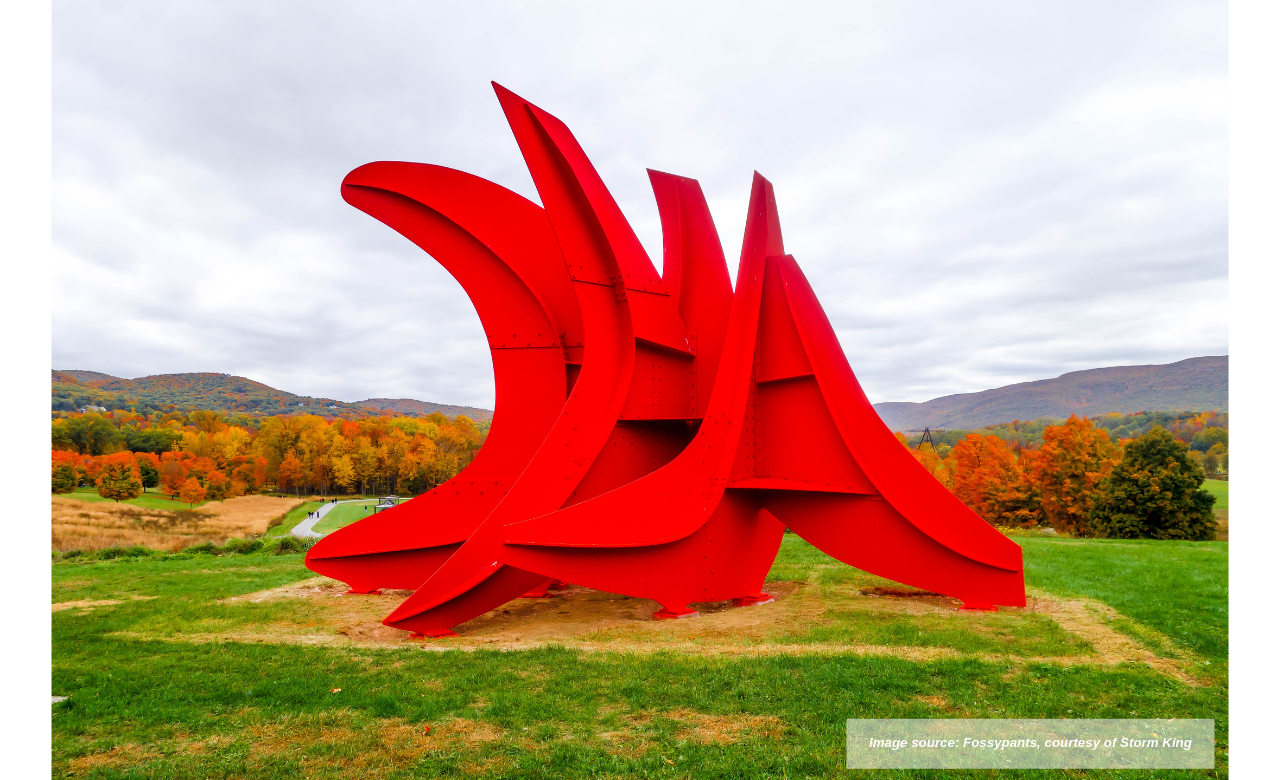 Image source_ Fossypants, courtesy of Storm King