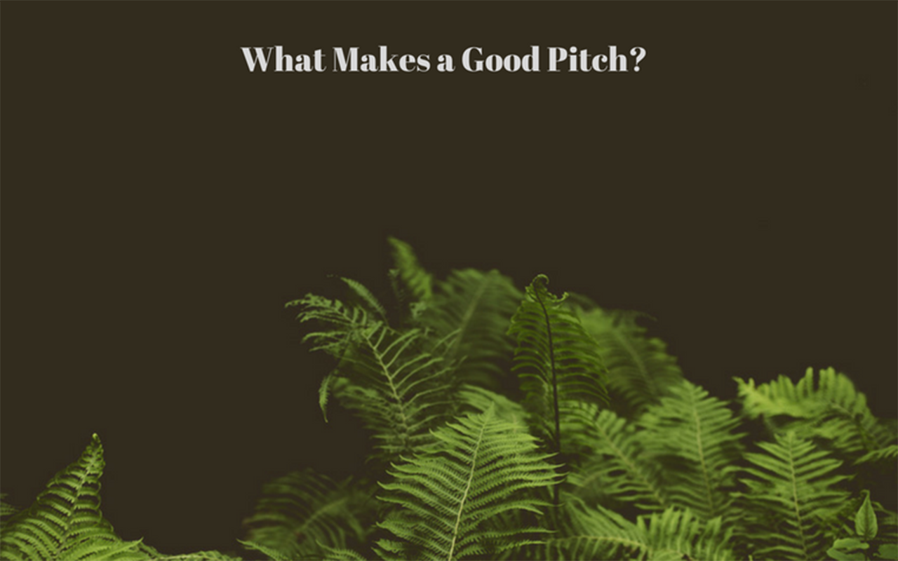 What-Makes-a-Good-Pitch-2-1